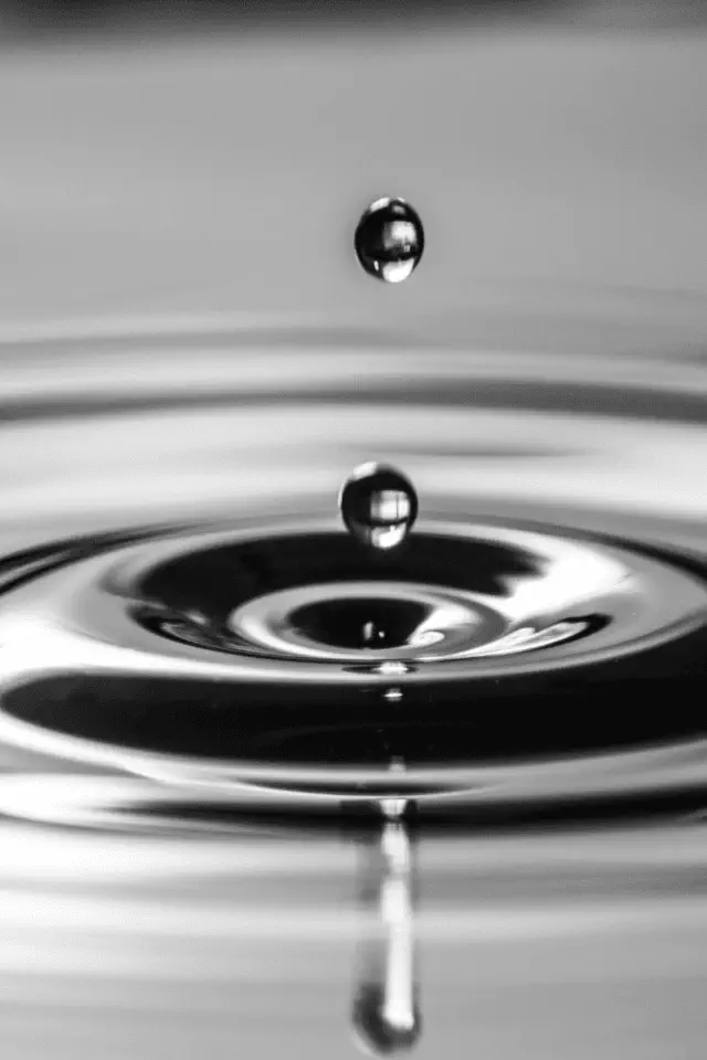 il tango e il fandango dei corpo_pensieri