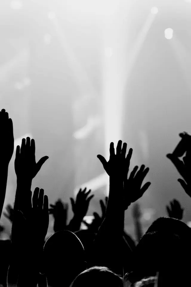 Braccia alzate del pubblico durante un concerto, simbolo dell’energia e dell’unione che la musica crea tra le persone in tutto il mondo
