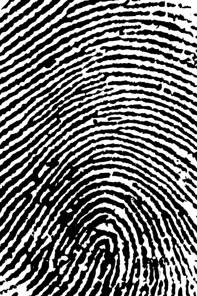 Impronta digitale in bianco e nero, simbolo dell’identità unica e personale di ogni individuo.